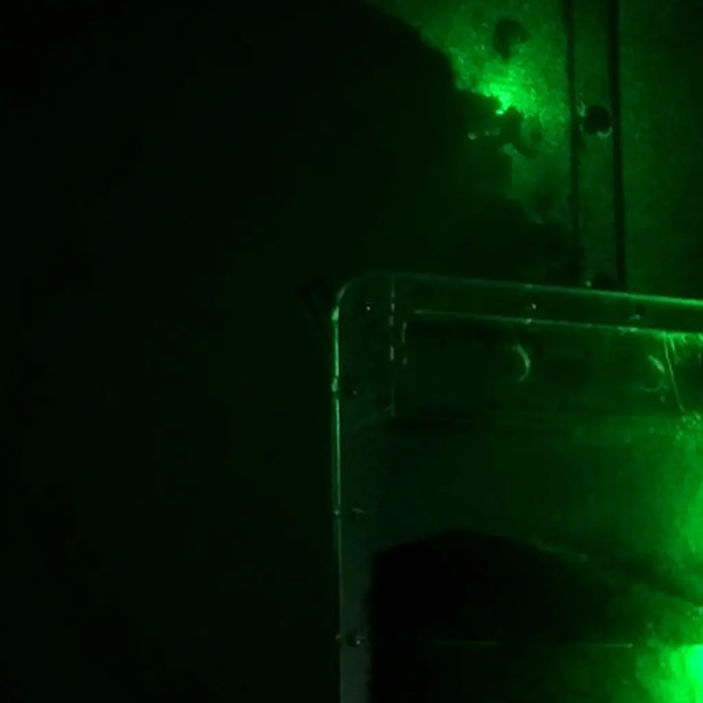 Ant Ennae Labyrinths 