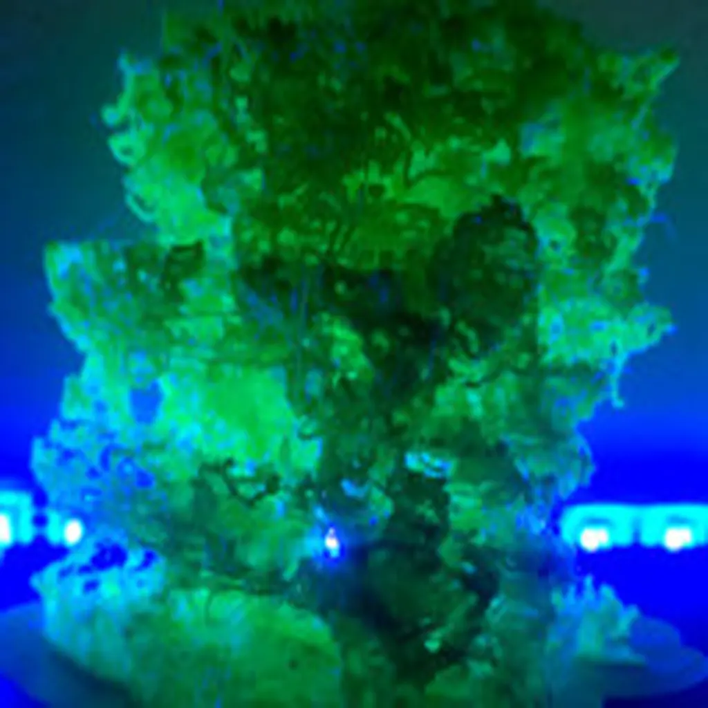 Biological Sculptures