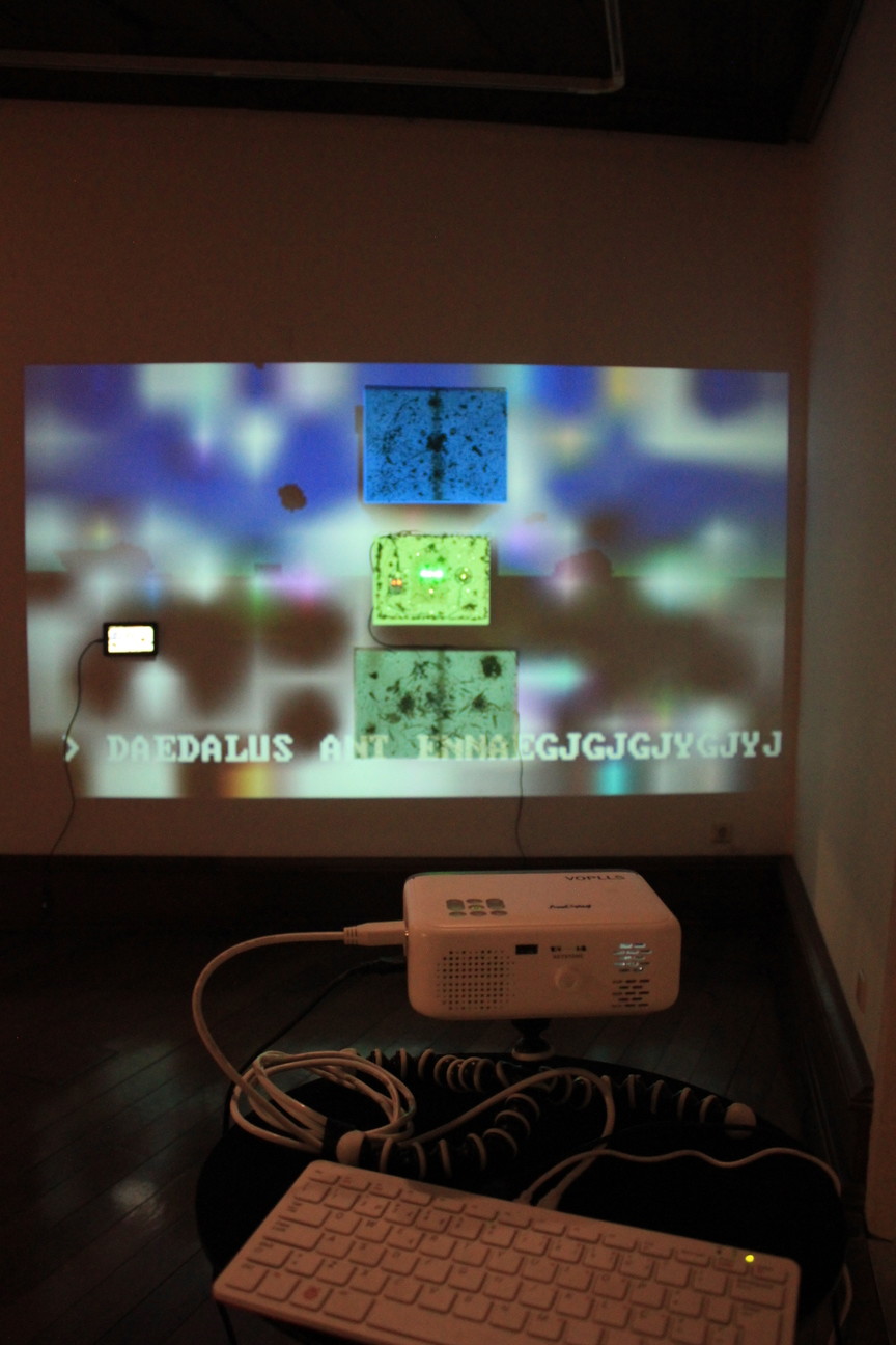 Daedalus Ant Ennae Image daed-b8f50737897a0778.jpg