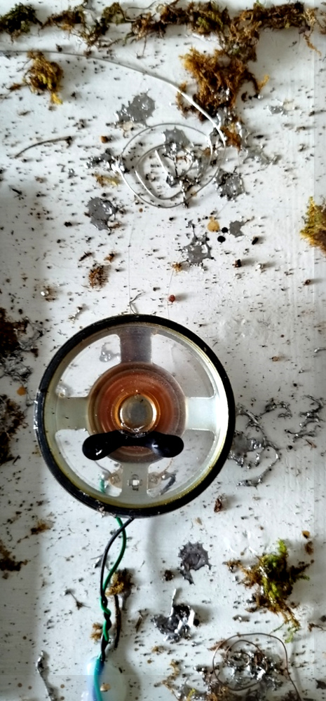 Daedalus Ant Ennae Image daed_IMG_20250220_145110.jpg