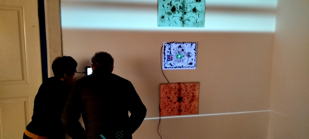 Daedalus Ant Ennae Image daed_IMG_20250222_164342.jpg