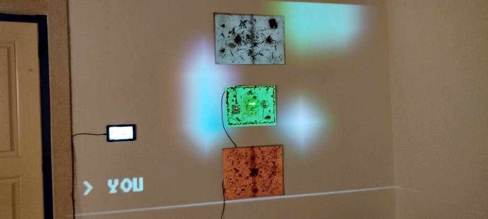 Daedalus Ant Ennae Image daed_IMG_20250222_171209.jpg