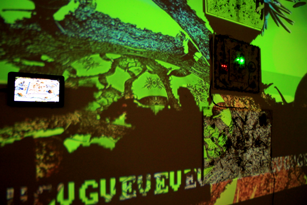 Daedalus Ant Ennae Image daed_IMG_8236.JPG