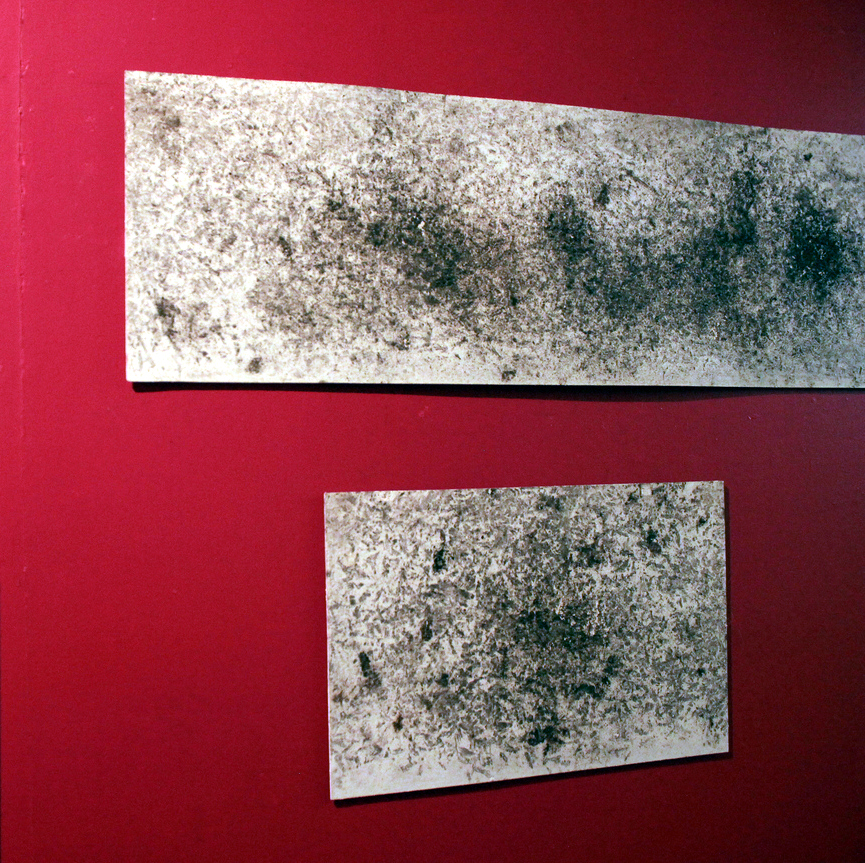 Non-Human Paintings Image t_IMG_8404.JPG