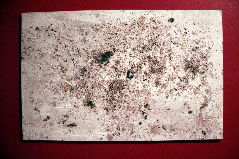 Non-Human Paintings Image t_IMG_8415.JPG